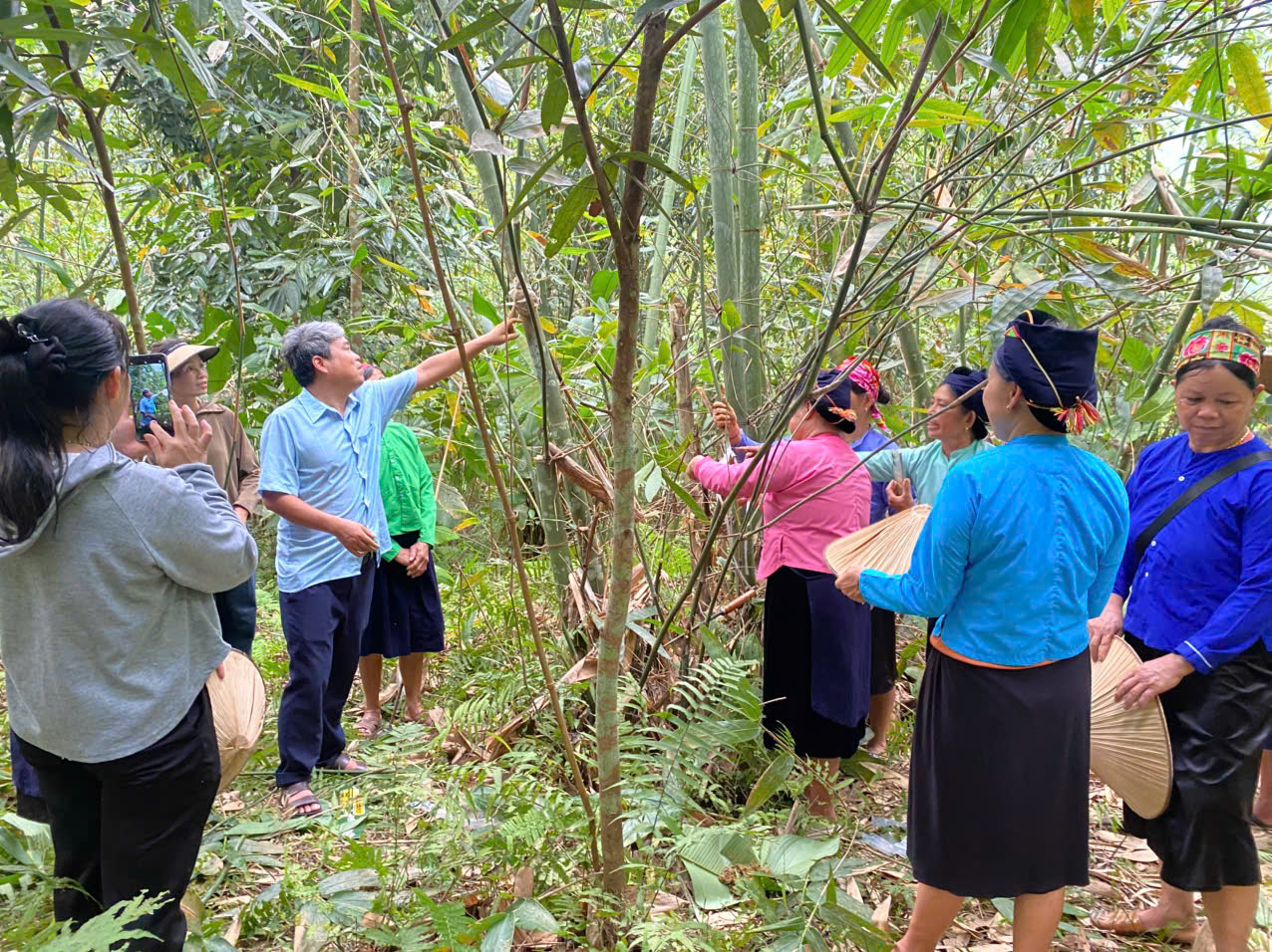 TRUNG TÂM KHOA HỌC, CÔNG NGHỆ VÀ ĐỔI MỚI SÁNG TẠO PHỐI HỢP VỚI LIÊN MINH HỢP TÁC XÃ TỈNH LÀO CAI: TẬP HUẤN KỸ THUẬT TRỒNG, CHĂM SÓC VÀ THU HOẠCH MĂNG TRE BÁT ĐỘ